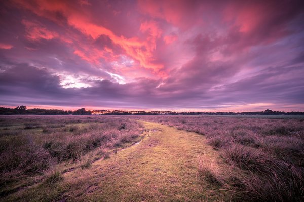 Préparer un voyage en antarctique : les secrets à découvrir